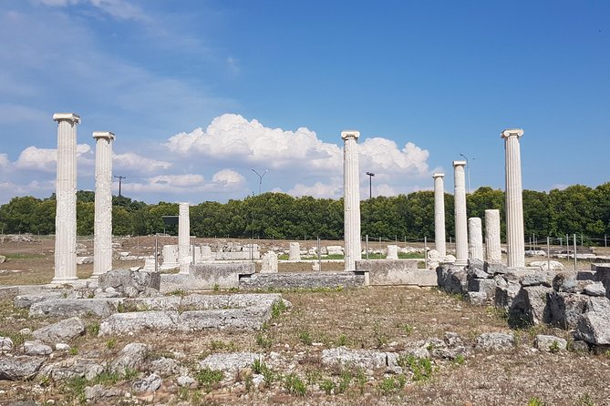 Ancient Macedonia tour (Pella & Vergina) from Ohrid - Tickets and Total Budget: The Real Cost of a “Private” Day