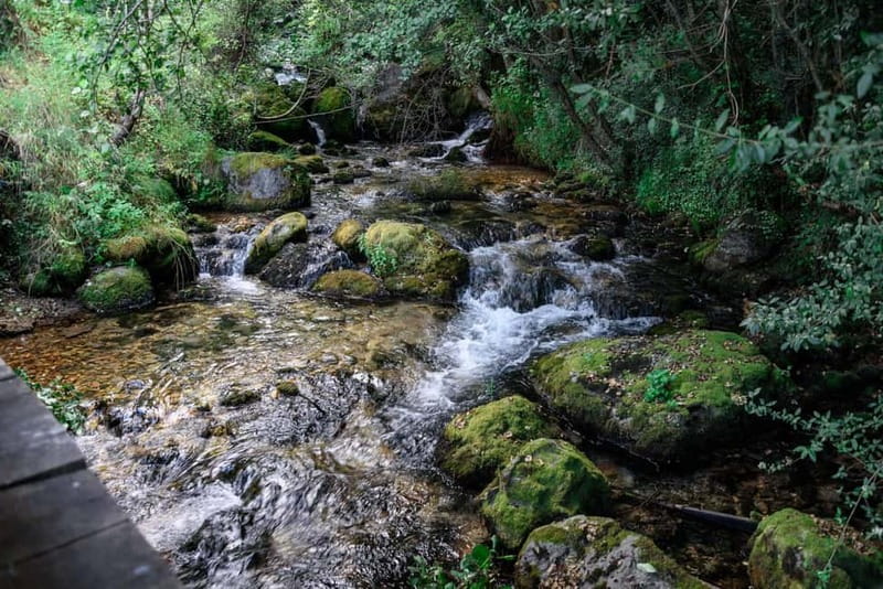 City Trip Struga and Vevchani from Ohrid and Struga - What’s included versus what you’ll pay for