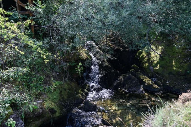 City Trip Struga and Vevchani from Ohrid and Struga - Struga’s poetry identity, plus real places to walk