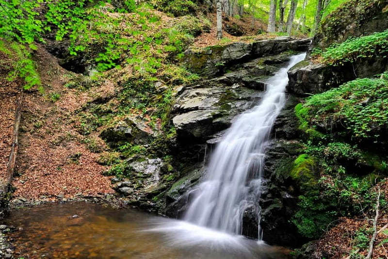 From Skopje: Berovo Full Day Tour and Hike - Berovo Lake and the 1970 Arch Dam, Where Water History Meets Quiet Nature