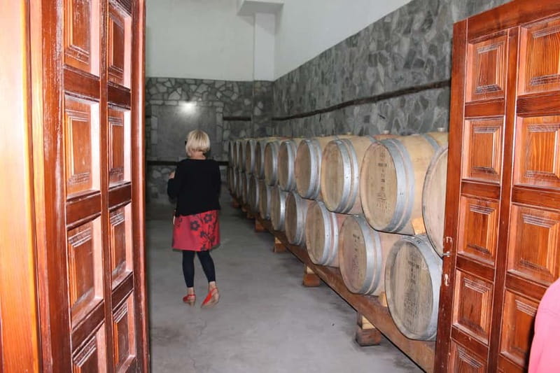 From Skopje: Private Full-Day Tour to Popova Kula Winery - Stobi archaeological site: some of the best preserved mosaics in North Macedonia