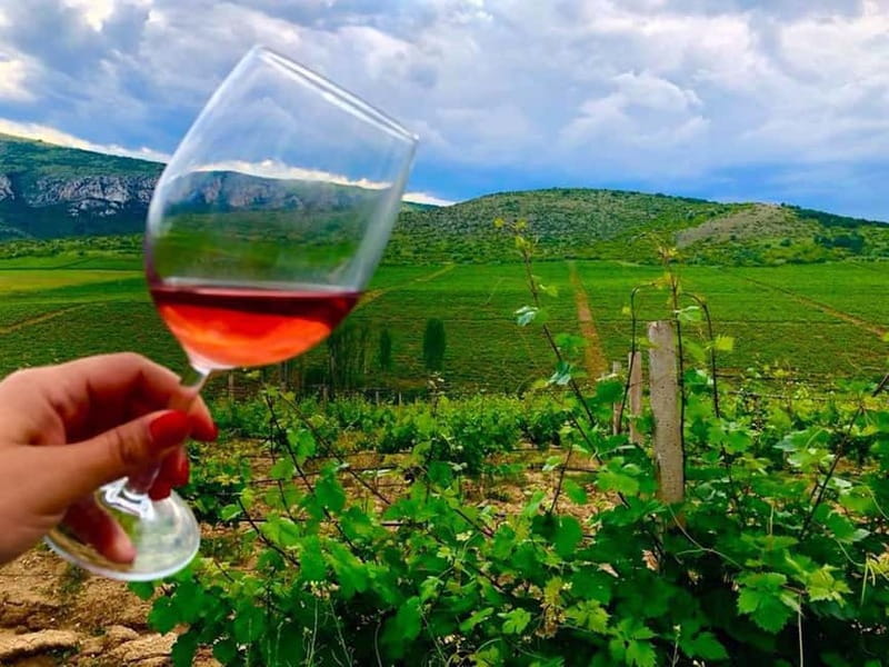 From Skopje: Private Tour of Sopot Winery with Lunch - Key things to know before you go
