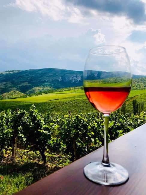 From Skopje: Private Tour of Sopot Winery with Lunch - Vineyard views you can actually understand