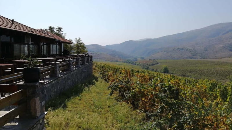 From Skopje: Private Tour of Sopot Winery with Lunch - Price and logistics: does $130 per person make sense?