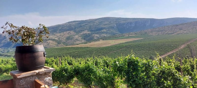 From Skopje: Private Tour of Sopot Winery with Lunch - Chateau Sopot: the guided tour and what it includes