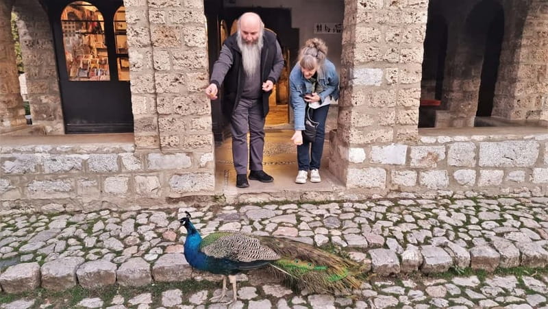 From Tirana: North Macedonia, Lake Ohrid and Saint Naum Tour - Price and what you really get for $141