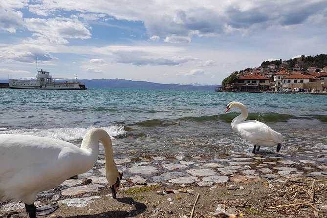 Full-Day Private Guided Cultural Tour of Ohrid from Skopje - Plaoshnik, early Christianity, mosaics, and St. Clement’s learning legacy
