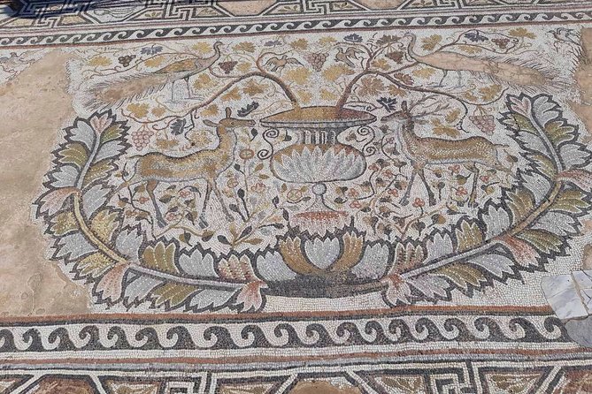 Full-Day Private Tour to Ohrid and Bitola from Skopje - Key highlights you should care about