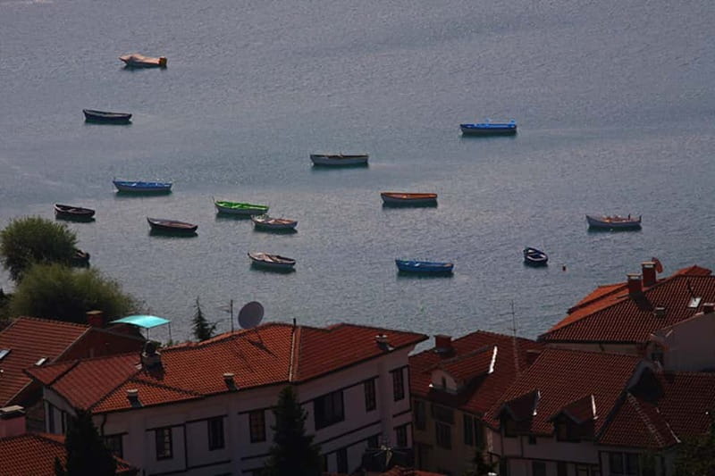 Full-Day Tour of Ohrid from Skopje - Guide and driver experience: the human part of the trip