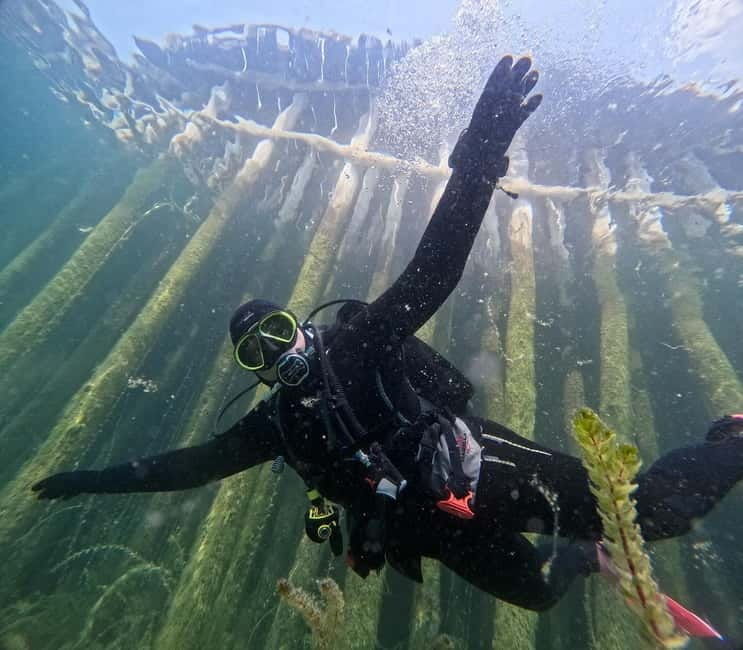 Lake Ohrid: Try Diving at the Bay of the Bones - Quick hits: Bay of the Bones scuba try session in Ohrid