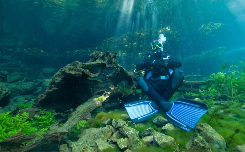 Lake Ohrid: Try Diving at the Bay of the Bones - Unlimited underwater photos and video, plus a diploma