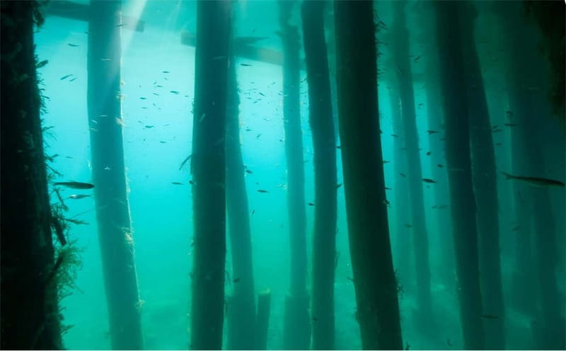 Lake Ohrid: Try Diving at the Bay of the Bones - Price and value: what $93 buys you in Ohrid