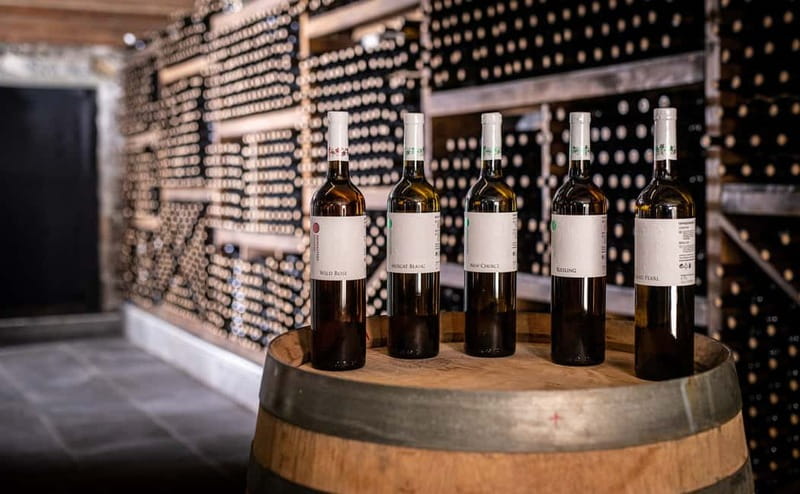 Ohrid: Monastery Winery Tour and Wine Tasting - Why this Ohrid wine day feels genuinely local