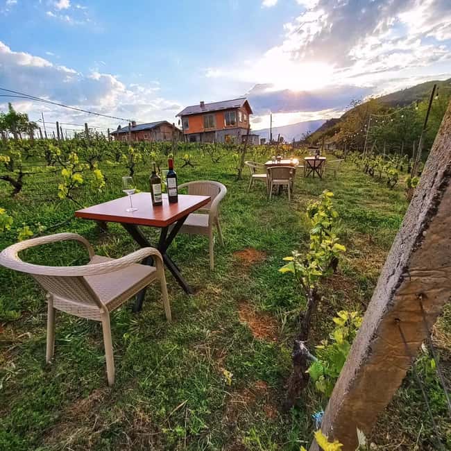 Ohrid: S&S Winery Tour and Wine Tasting Experience - Should you book the Ohrid S&S Winery tasting?