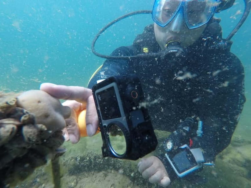 Ohrid: Scuba Diving Experience in Lake Ohrid - Hidden underwater springs: nature plus history in one session