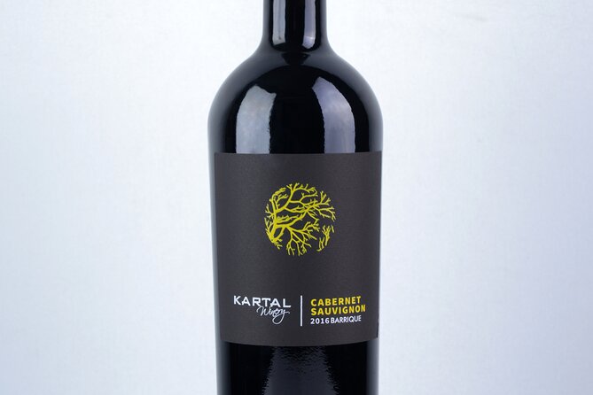 Premium Oak Aged Wines Tasting Tour in Family Winery Kartal in Skopje - Who This Tour Fits Best (and Who Might Want Something Else)