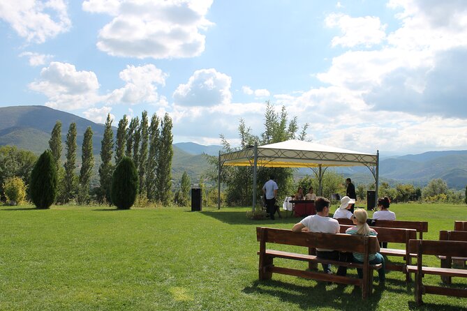 Private Full Day Wine Tour from Skopje to Popova Kula Winery - Getting the most from four pours without overdoing it