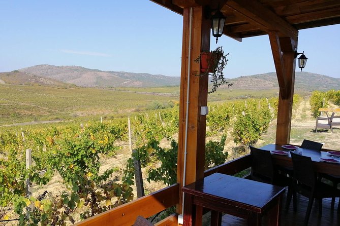 Private Wine Tour of Chateau Sopot Winery from Skopje - Skopje to Veles in a private, air-conditioned ride