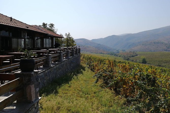 Private Wine Tour of Chateau Sopot Winery from Skopje - Wine tasting that is built around pairings, not just pours