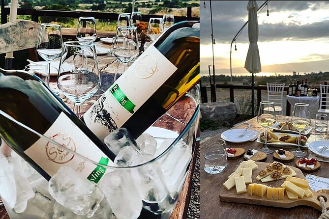 S&S Winery - Wine Tasting Experience in Ohrid - Views, comfort, and how the pacing feels