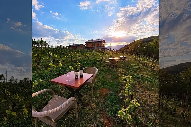 S&S Winery - Wine Tasting Experience in Ohrid - Who this experience suits best