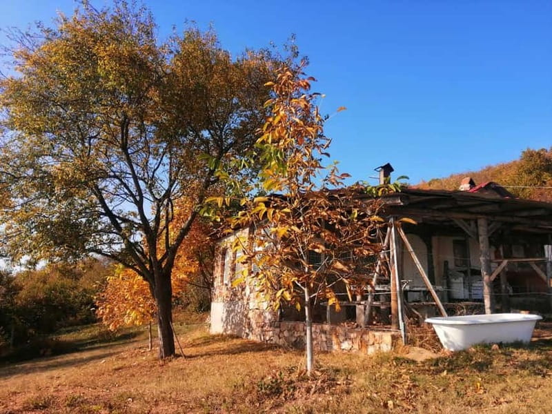 Skopje: Brodec – Spirova Hut – Crn Kamen Hike Tour - The guide and the snack break: where the value really shows