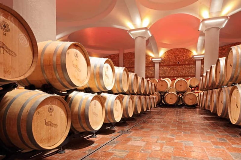 Skopje: Half-Day Stobi Wine Tour - Inside Stobi Winery: the guided tour and four-wine tasting