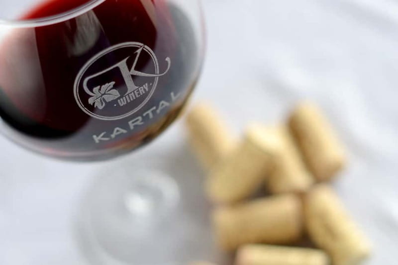 Skopje: Kartal Winery Tour - Your tour starts with a winemaking walkthrough, led by the owner