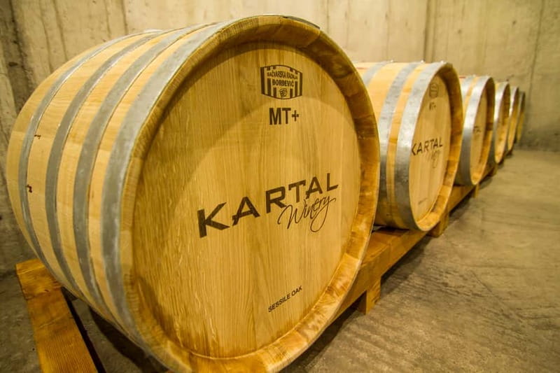 Skopje: Kartal Winery Tour - Pairings that make sense: cheese, meat, olive oil, bread, and seasonal fruit