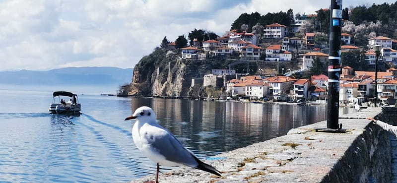 Skopje: Transfer to Tirana w/ Half-Day Tour of Ohrid - Price and value for a group of up to 3