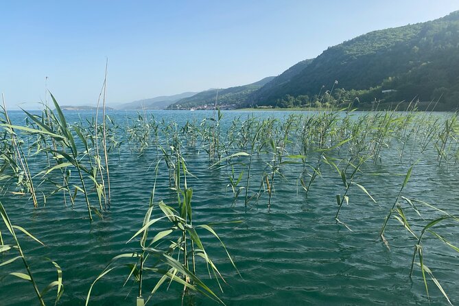 Stand-Up-Paddle Tour on Lake Ohrid - Swimming and Sunbathing: The Part That Makes It Worth Booking