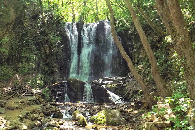 Strumica monasteries and waterfalls tour from Skopje - Key highlights to look for