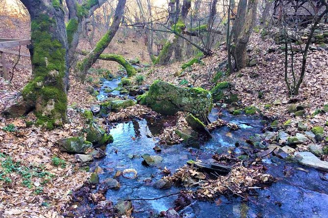 Strumica monasteries and waterfalls tour from Skopje - Stop 2, Veljusa Monastery and the meaning of Eleusa