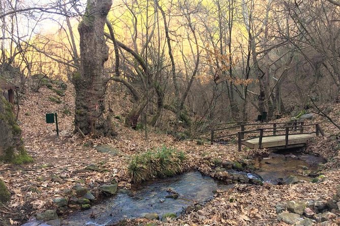 Strumica monasteries and waterfalls tour from Skopje - Price, what you really get, and who this suits