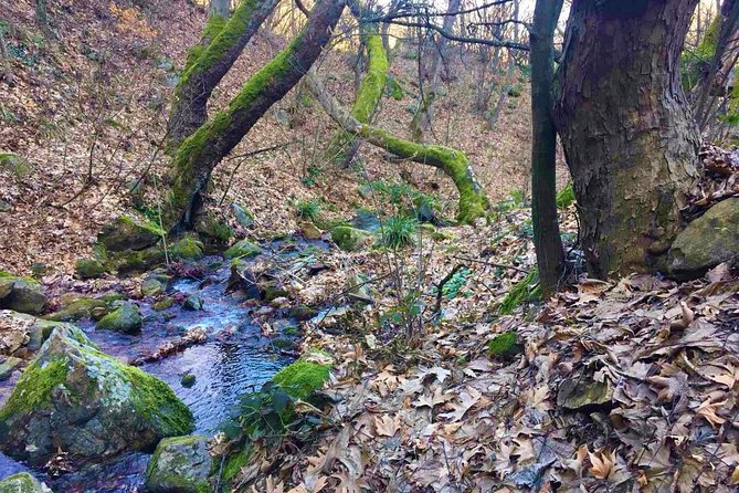Strumica monasteries and waterfalls tour from Skopje - Stop 1, Vodocha and the Monastery of St Leontius