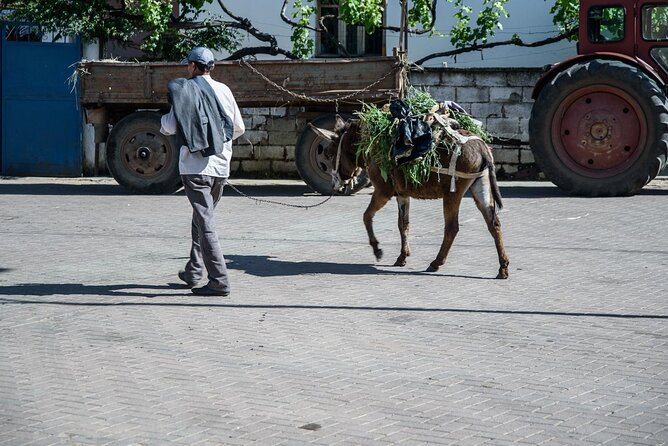 Tour Around the Lake Albania from Ohrid - Key highlights you will care about