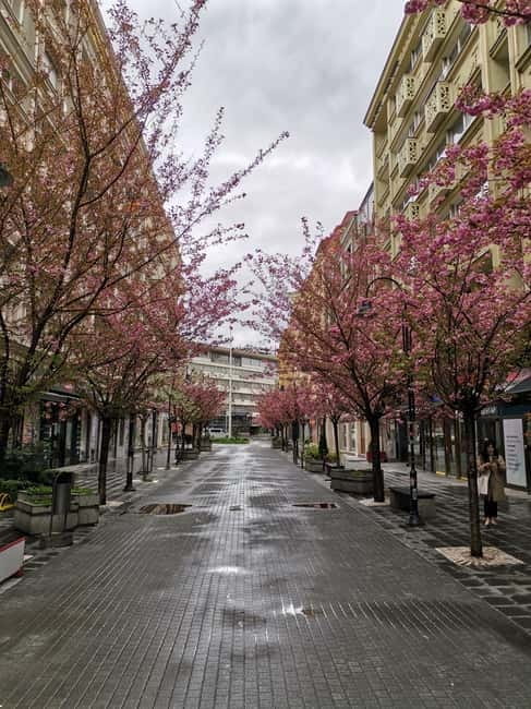 Walking In Skopje - The Two-Hour Strategy: See the City, Then Pick Your Next Day