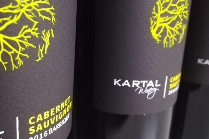 Wine Tasting Tour in Family winery Kartal in Skopje - Should you book the Wine Tasting Tour at Kartal Winery?